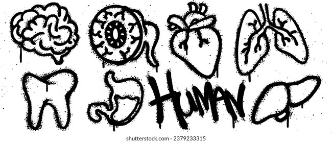 Set human graffiti spray paint. Collection of brain, eye, heart, lungs, liver,  stomach, tooth Isolated Vector