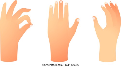 Set of human hand in different position, showing signs. Hand drawn with gradients. Hands collection isolated on white, palms and fingers raised up, clip art gradient realistic objects.