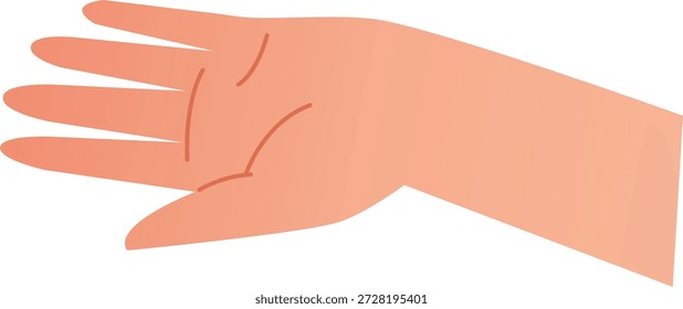 Satz von menschlichen Handgesten-Illustrationen im klaren, flachen Vektorstil