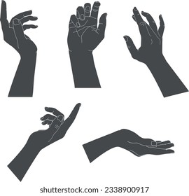 Conjunto de manos humanas con diferentes gestos elegantes. Silhouettes de mano aisladas en un fondo blanco. Ilustración del vector