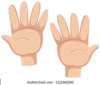 A set of human hands illustration
