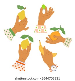 Set of human hands with shirt cuffs holding ripe fruits pear, orange, lemon, banana, gooseberry. Cute vector illustration for baking, recipe, harvesting, gardening. Circular frame.