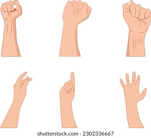 
Set of human hands showing different gestures. Vector illustration in cartoon style.
