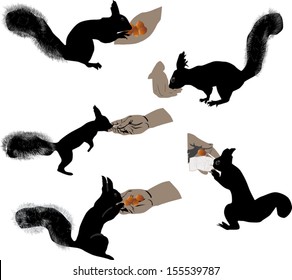 set of human hands and squirrels on white background