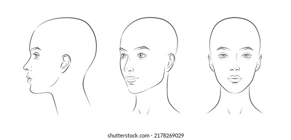 Set Human Head Head Guidelines Barbershop Stock Vector (Royalty Free ...