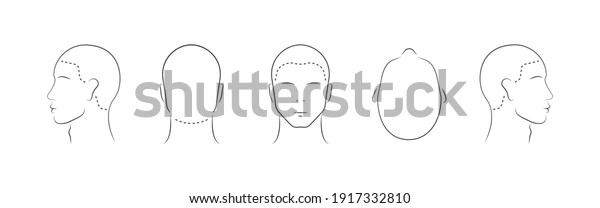 Set of human head icons. Head\
guidelines for barbershop, haircut salon. Lined male head in\
different angles isolated on white background. Vector\
illustration