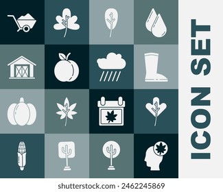 Set Cabeza humana con hoja, hoja u hojas, bota de goma impermeable, fruta de melocotón, casa de campo, suciedad de carretilla e icono de lluvia de nubes. Vector