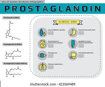 set of human hormone " Prostaglandin " thin flat line icon template for website or banner infographic, medical vector illustration.