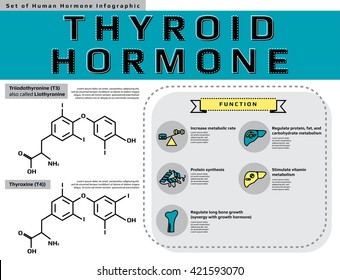 set of human hormone "Thyroid Hormone" thin flat line icon template for website or banner infographic, medical vector illustration.