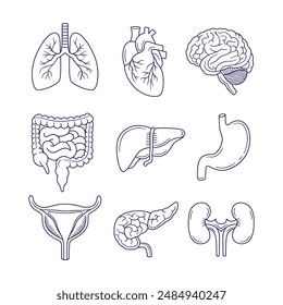 Set of Human internal organ outline doodle hand drawn vector illustration