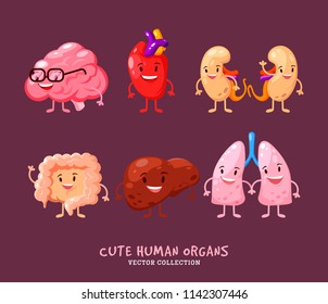 Set of human internal organs illustrations. Funny human body organs. Kidneys, liver. Heart, brain and lungs. With handles, legs and smiles. Anatomy funny print.