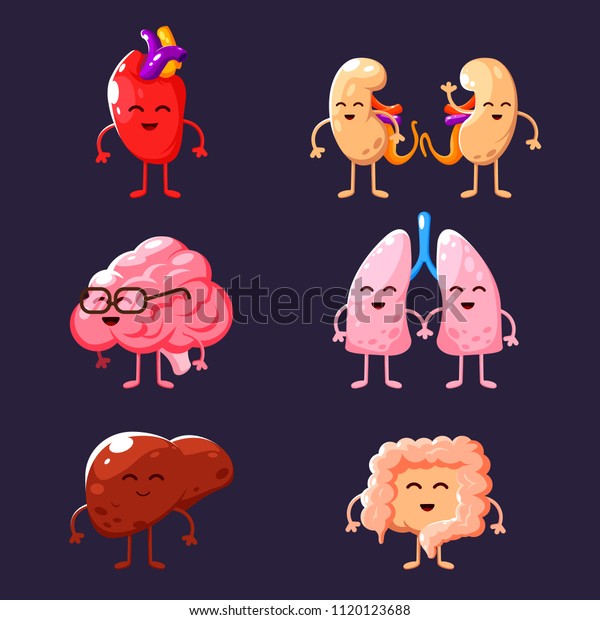 Set of human internal organs illustrations. Funny human body organs
