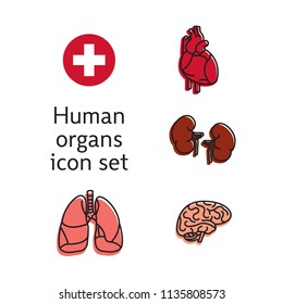 Set of Human Internal Organs. Line Icons. Simple vector illustrations.