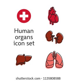 Set of Human Internal Organs. Line Icons. Simple vector illustrations.