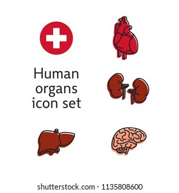 Set of Human Internal Organs. Line Icons. Simple vector illustrations.