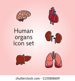 Set of Human Internal Organs. Line Icons. Simple vector illustrations.
