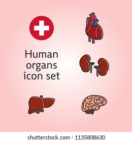 Set of Human Internal Organs. Line Icons. Simple vector illustrations.