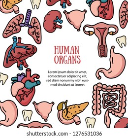 Set of human internal organs for surgeries and transplantation. Including heart, liver, kidney, uterus, bladder, pancreas; eye, intestines, stomach. Isolated vector illustration, colourful design.