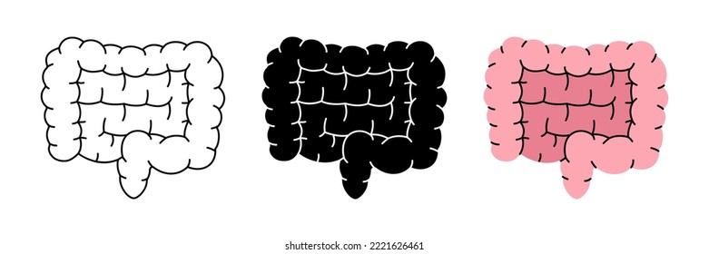 Set of human intestines symbols. Human intestines icons in color, black and thin line style. Vector illustration. Human organ icons