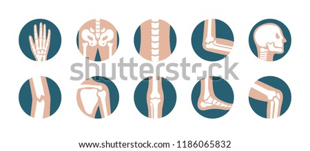 Set of human joints and bones. Vector knee, leg, pelvis, scapula, skull, elbow, foot and hand icons. Orthopedic and skeleton symbols on white background