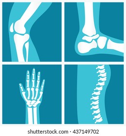 Set of human joints, knee joint, elbow joint, ankle joint, wrist, skeletal spinal bone structure of Human Spine, emblem or sign of medical diagnostic center or clinic, flat vector illustration.