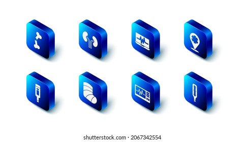 Set Human kidneys, Laptop with cardiogram, Location cross hospital, Medical thermometer, Monitor, Gypsum, Digital and broken bone icon. Vector