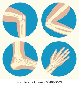 Set of human knee, elbow and ankle joints and wrist, emblem or sign of medical diagnostic center or clinic, flat design, vector