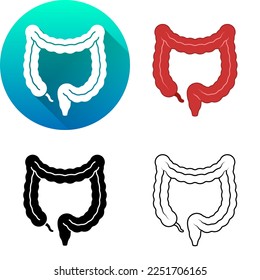 Conjunto de Colón Intestino Grande Humano, Gastrointestinal Rectum, Sistema Digestivo Médico Humano Icono de Sombra Diagonal Plano Mínimo, Silueta, Línea de Arte Aislado en Fondo Blanco