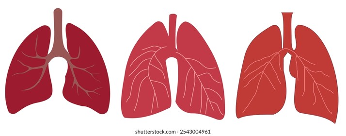 Set of human lung in a flat style vector icon illustration. Human internal organ, anatomy, body part.