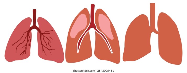 Set of human lung in a flat style vector icon illustration. Human internal organ, anatomy, body part.