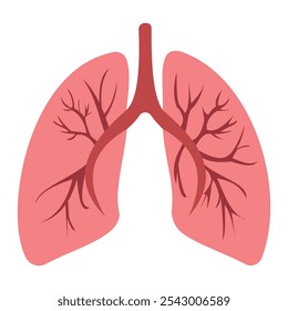 Set of human lung in a flat style vector icon illustration. Human internal organ, anatomy, body part.