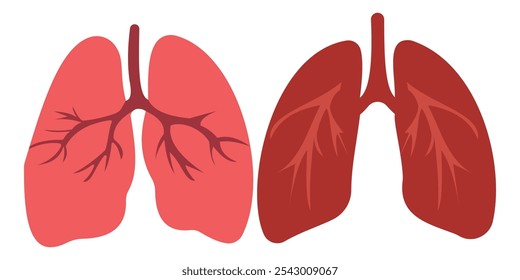 Set of human lung in a flat style vector icon illustration. Human internal organ, anatomy, body part.