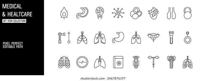 Conjunto de iconos de vectores de anatomía de órganos humanos de pulmón para símbolo médico y educativo