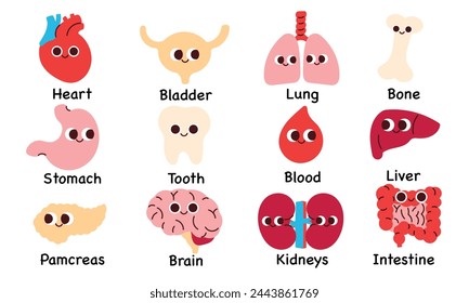 Set of human organ in cartoon style vector element Human internal organs hand drawn of heart, kidneys, lungs, bladder, liver, brain, tooth Comic Anatomical elements illustration for education, sticker