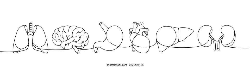 Set human organ one line continuous drawing  Lungs  brain  stomach  heart  liver  kidneys continuous one line illustration 