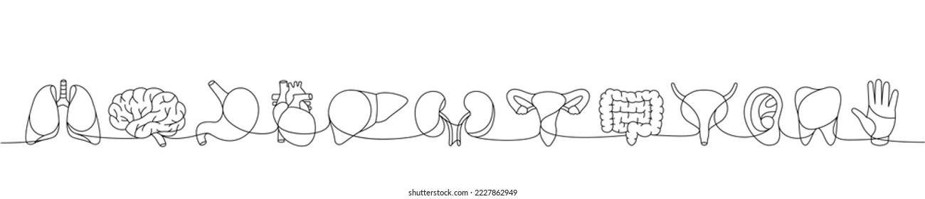 Set of human organ one line continuous drawing. Lungs, brain, stomach, tooth, bladder, liver, kidneys, intestines, ear, hand one line illustration.