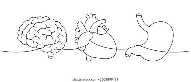 Set of human organ one line continuous drawing. Brain, heart, stomach continuous one line illustration.