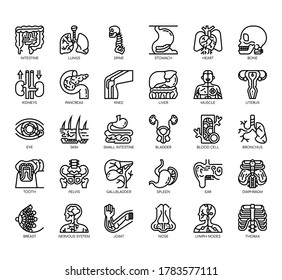 Set of human organ thin line and pixel perfect icons for any web and app project. 