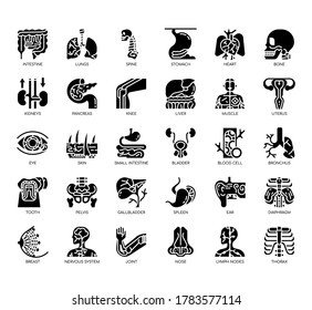 Set of human organ thin line and pixel perfect icons for any web and app project. 