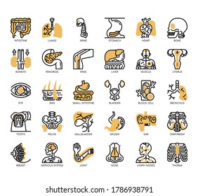 Conjunto de iconos perfectos de órganos humanos en línea delgada y píxeles para cualquier proyecto web y de aplicación. 