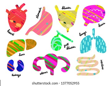 Set of human organs. Anantomy. Heart, liver, lungs, gall bladder, uterus intestines stomach kidneys brain Cartoon minimalism textured