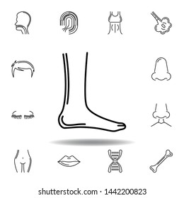set of human organs ankle outline icon. Signs and symbols can be used for web, logo, mobile app, UI, UX