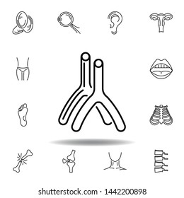 set of human organs artery outline icon. Signs and symbols can be used for web, logo, mobile app, UI, UX
