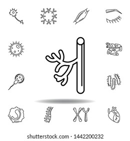 set of human organs blood vessel outline icon. Signs and symbols can be used for web, logo, mobile app, UI, UX