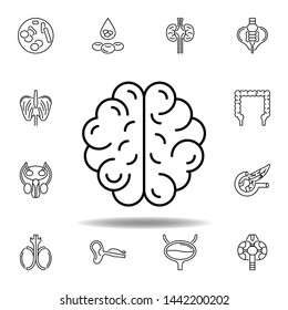 set of human organs brain outline icon. Signs and symbols can be used for web, logo, mobile app, UI, UX