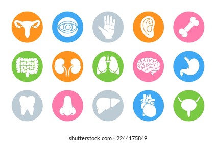 Set of human organs. Brain, tooth, ear, intestines, stomach, nose, liver, bladder, heart, bone, hand, kidneys, lungs, eyeball icons. Human organ icons