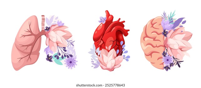 A set of human organs decorated with flowers. Lungs, heart and brain on a white background. Vector illustration.