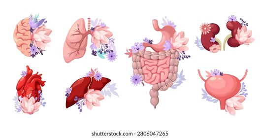A set human organs