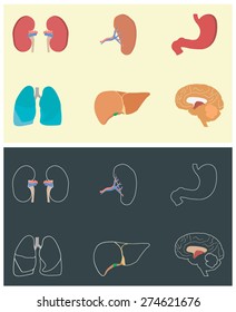 Set of human organs - flat icons