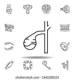 set of human organs gallbladder outline icon. Signs and symbols can be used for web, logo, mobile app, UI, UX